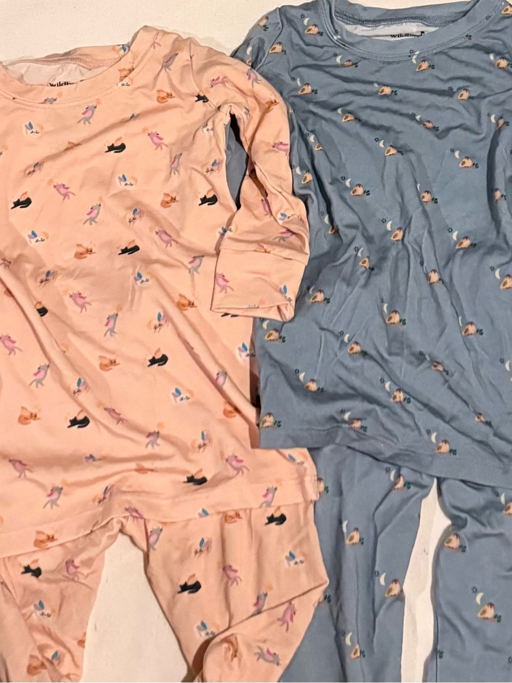 Girls Two-Piece Pajama Set from Wildbird- Peach & Slate Blue